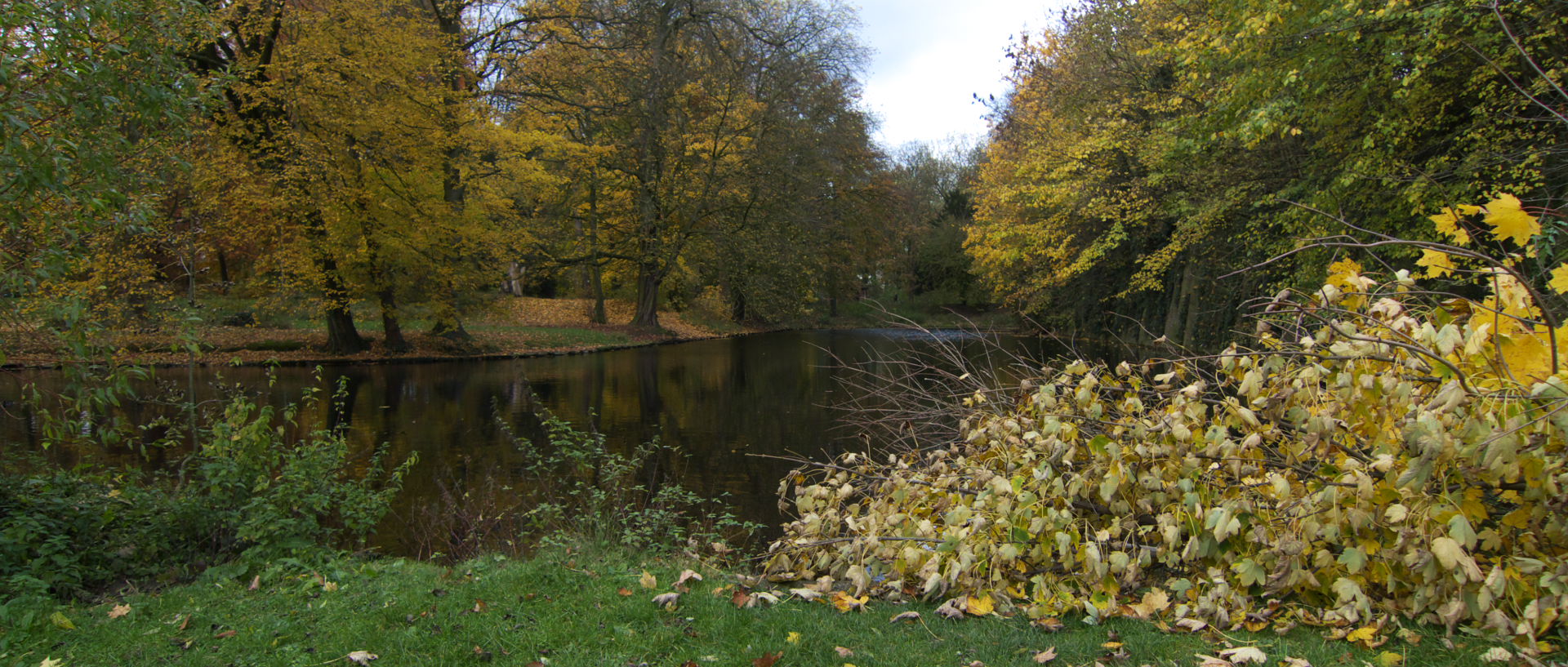 Samedi 8 novembre 2008, parc de la citadelle, à Lille.
