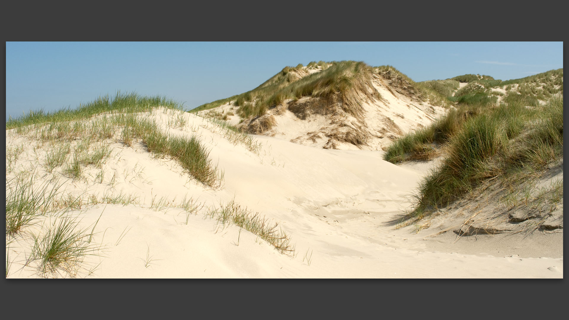 Dunes de la côte Picarde.