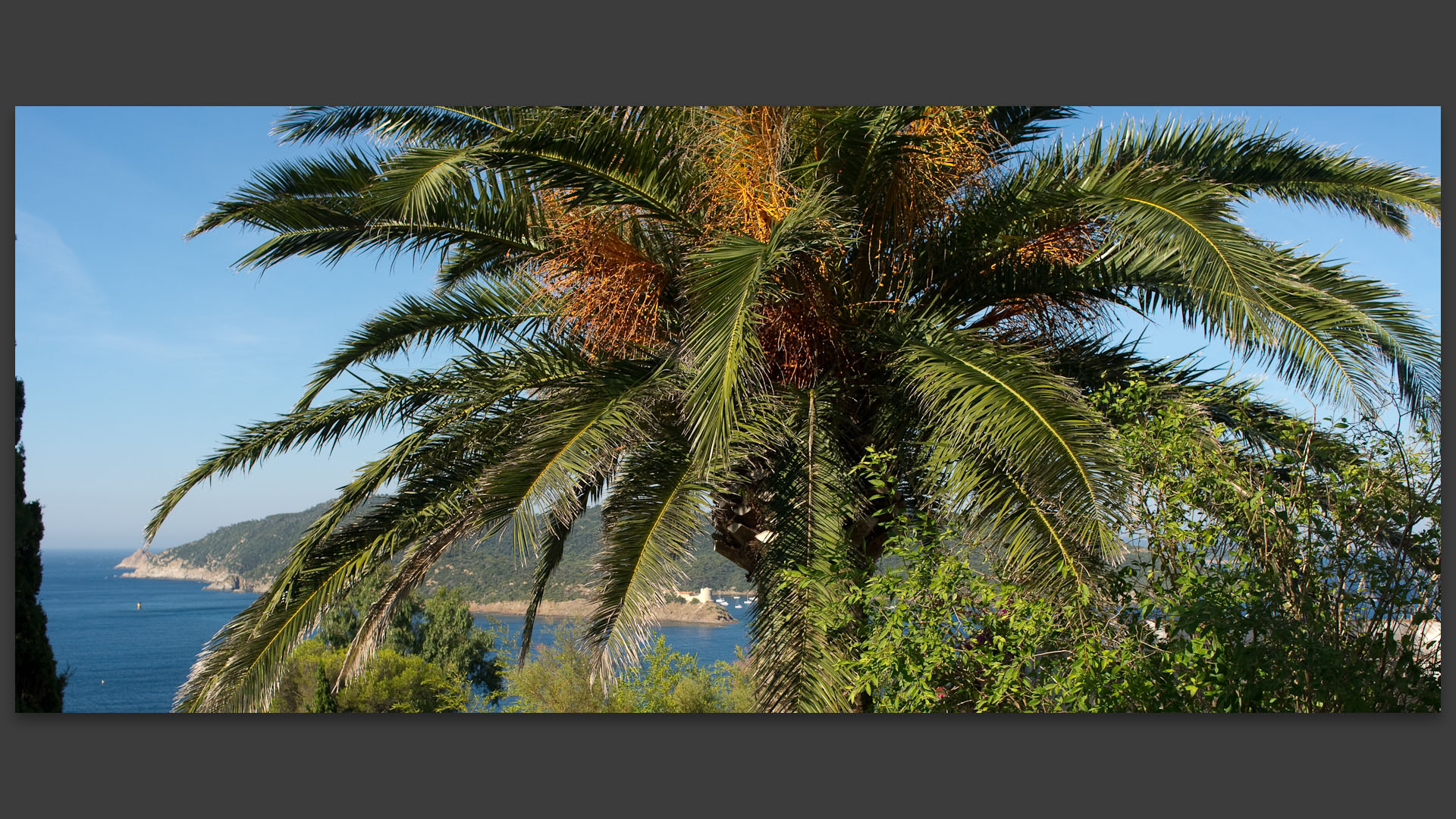 Le fort de Port Man vu derrière un palmier à l'île du Levant.