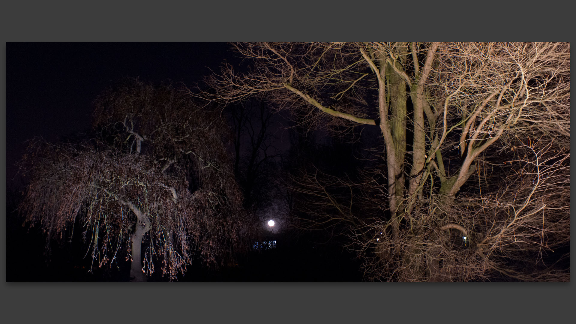 La lune se lève, parc Barbieux, à Roubaix.