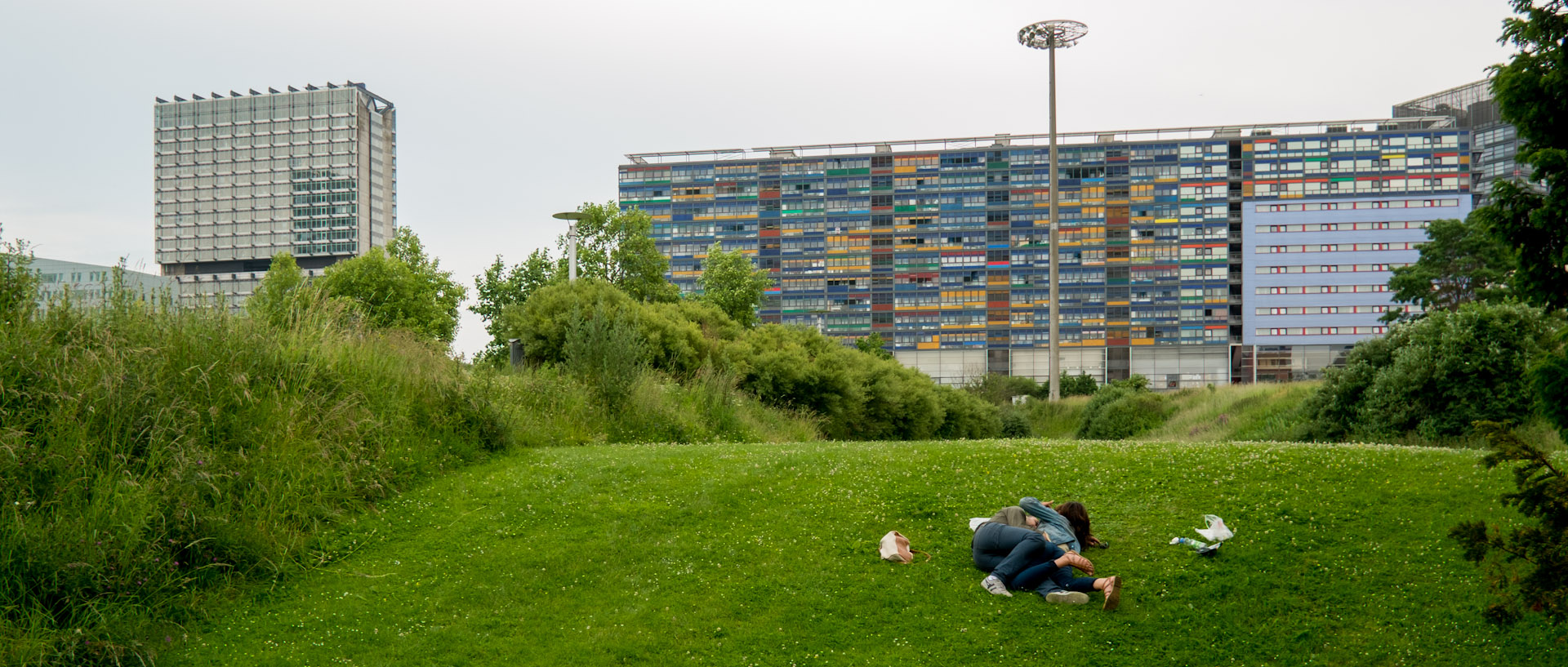 Jeunes dans l'herbe, parc Henri-Matisse, à Lille.