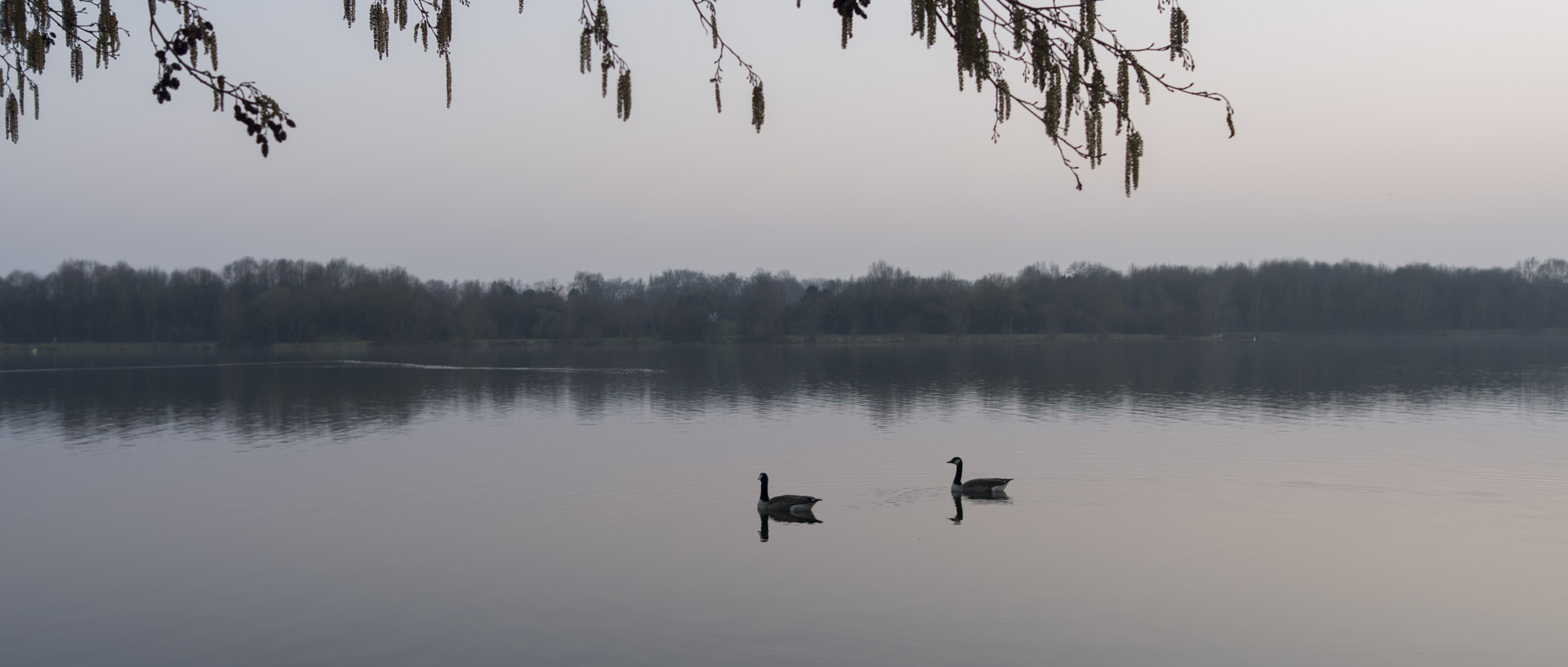 Lundi 16 mars 2015, 18:42, lac du Héron, Villeneuve d'Ascq