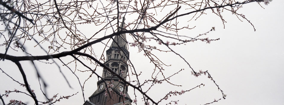 Samedi 20 janvier 2007, les arbres commencent à fleurir, passage du marché, à Wazemmes, Lille.