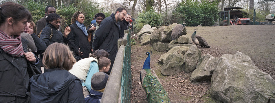 Dimanche 25 mars 2007, au zoo municipal, à Lille.