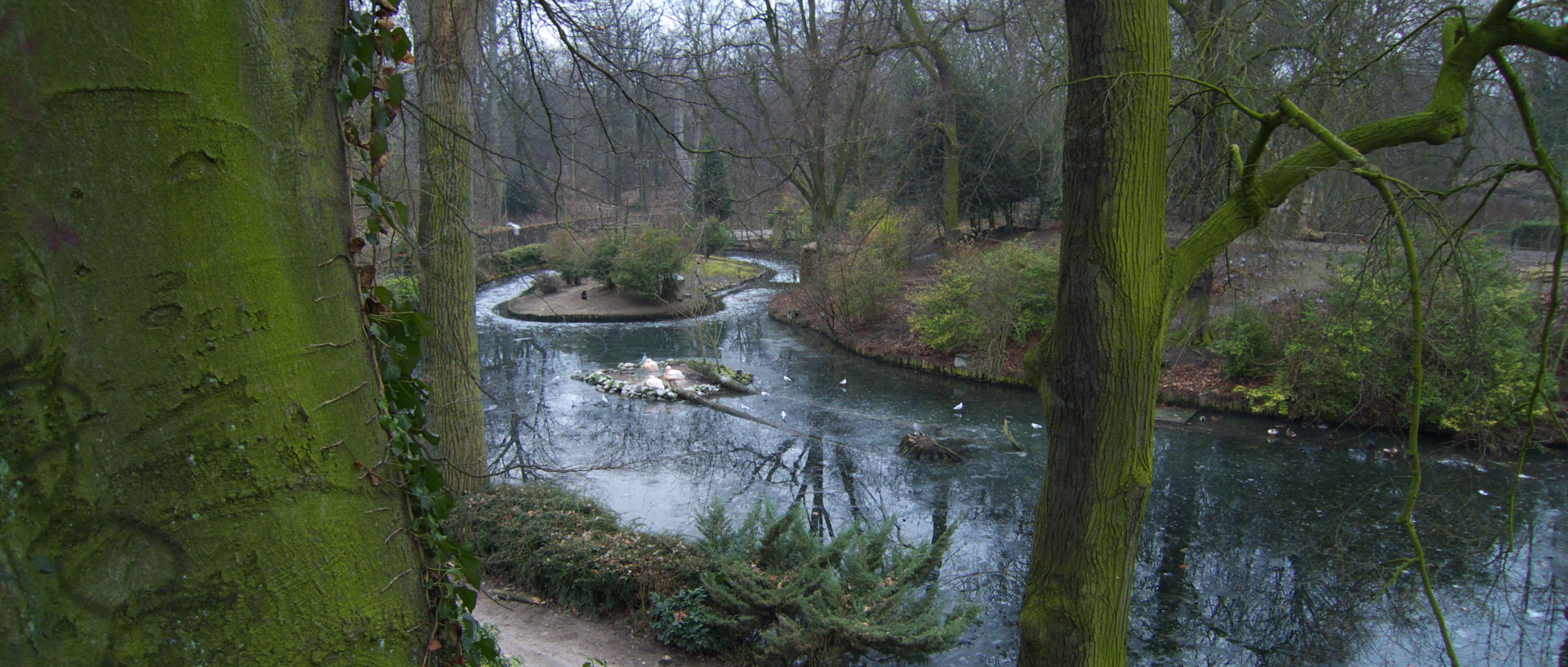 Vendredi 16 janvier 2009, 16:41, le zoo de Lille.