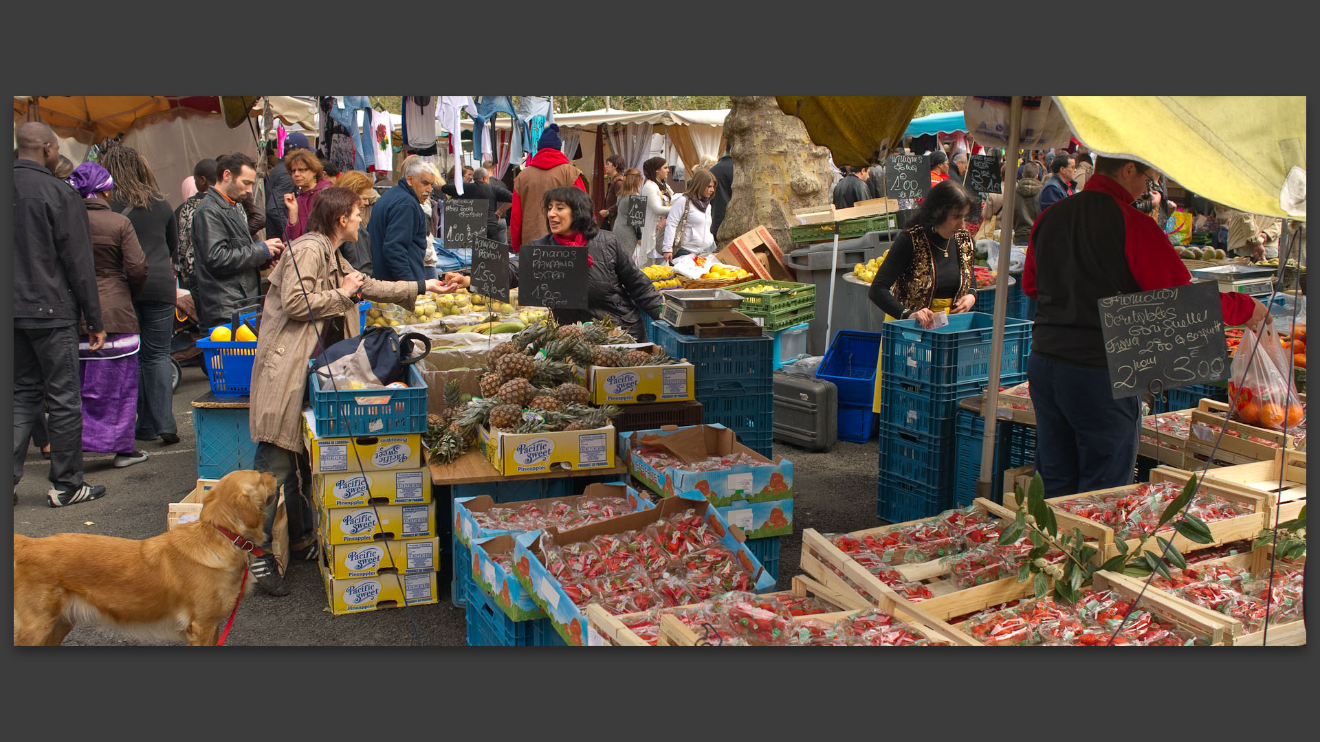 Etal de fruits et légumes, au marché de Wazemmes, place de la Nouvelle Avenrture, à Lille.