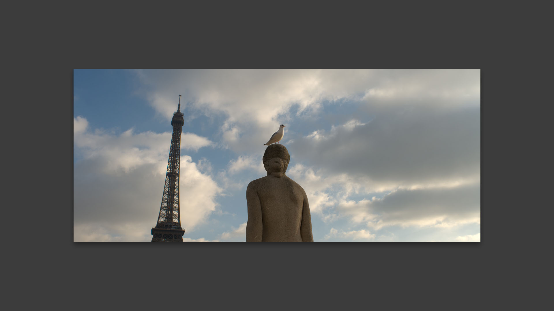 Oiseau perché sur une statue, devant la tour Eiffel, dans les jardins du Trocadéro, à Paris.