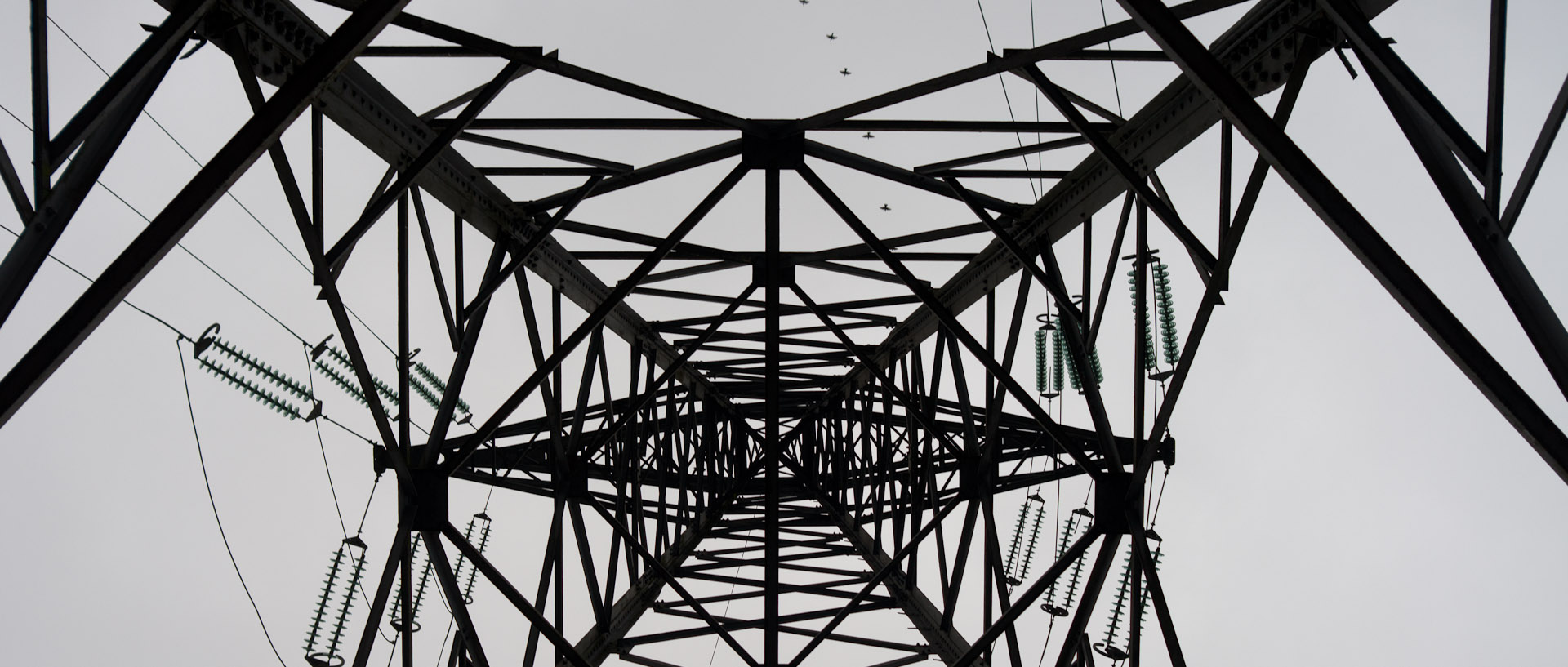 Pylone électrique et oiseaux, à Marquette lez Lille.