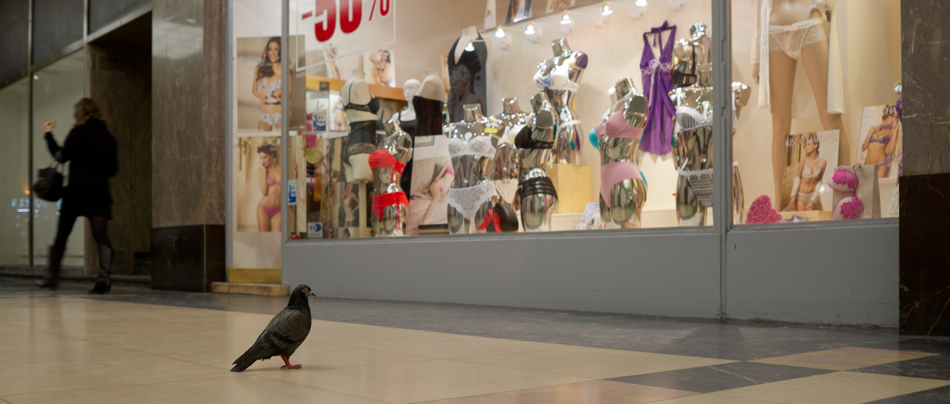 Pigeon devant une boutique de lingerie, galerie des Champs Elysées, à Paris.