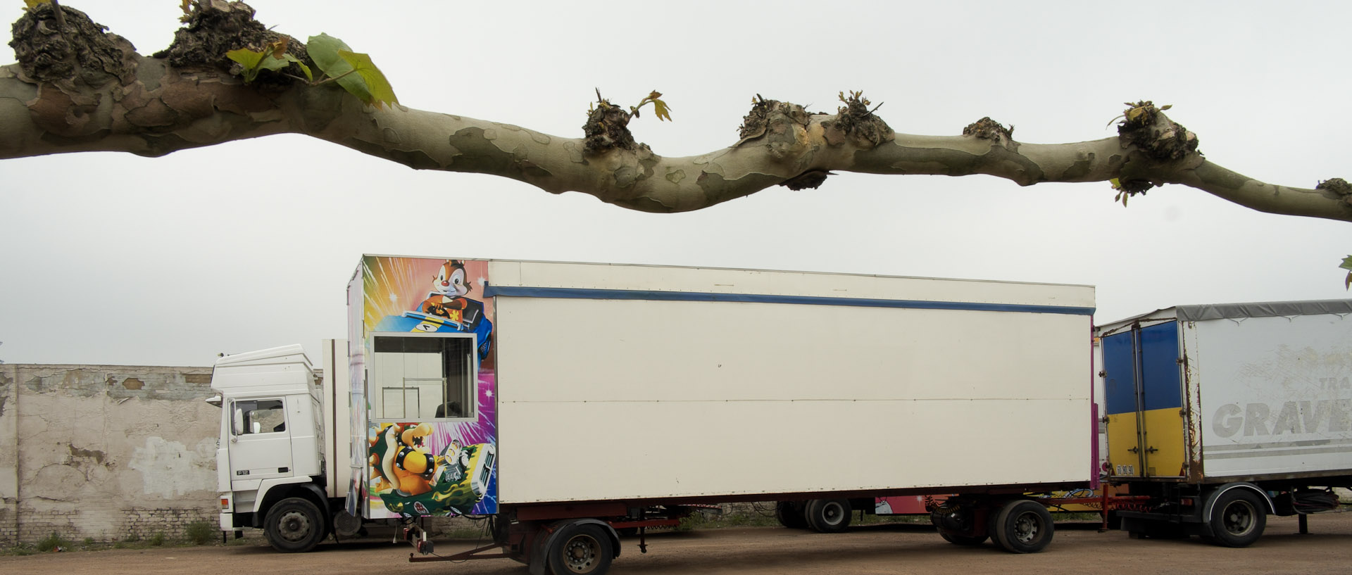 Branche d'arbre et camion, avenue Jean-Paul-Sartre, à Wasquehal.