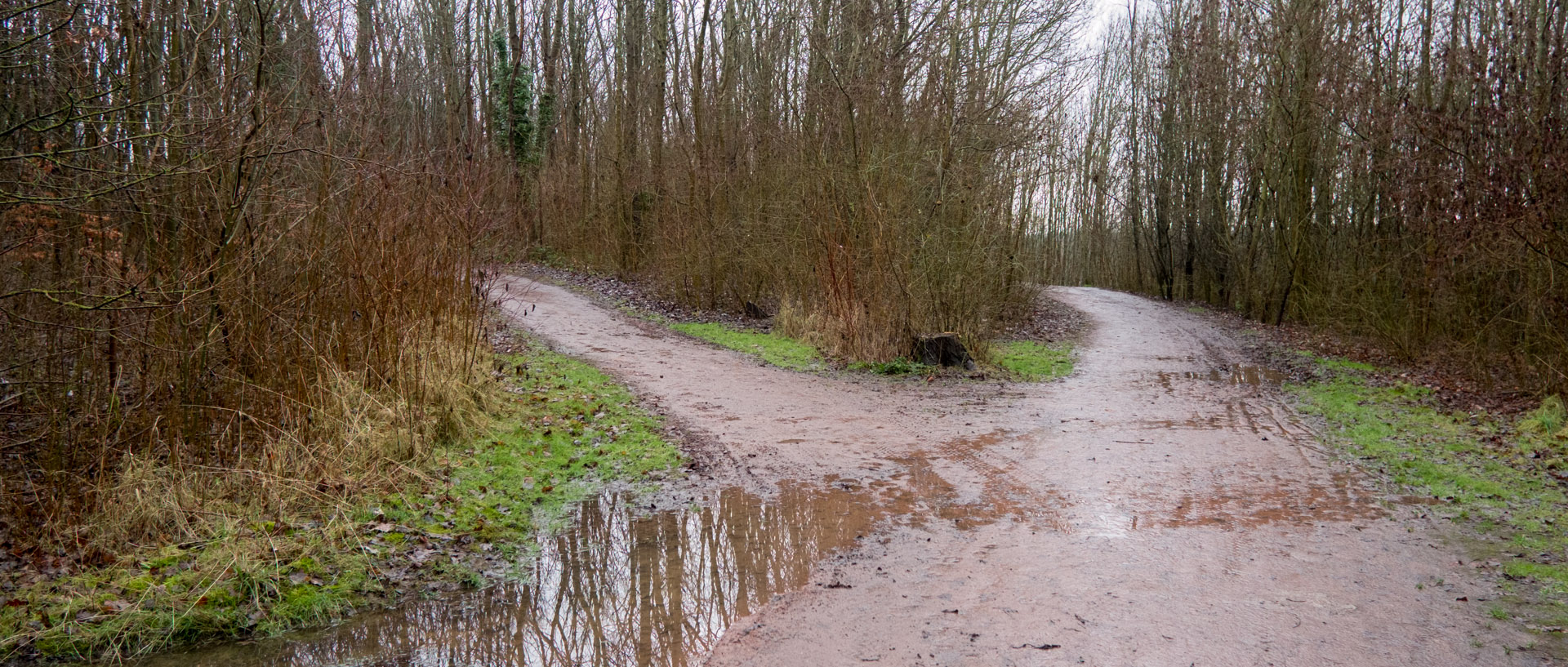 Chemins boueux sur la colline des Marchenelles, à Villeneuve d'Ascq.