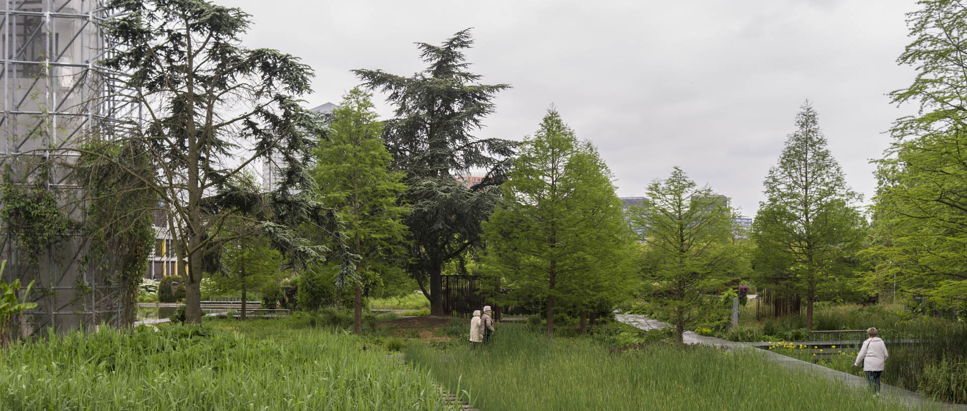 Vendredi 15 mai 2015, 15:55, jardin des Géants, La Madeleine